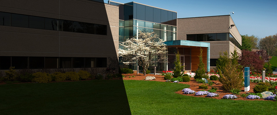 Burtonsville Landscapers