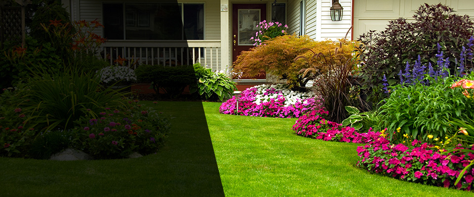 Burtonsville Landscapers