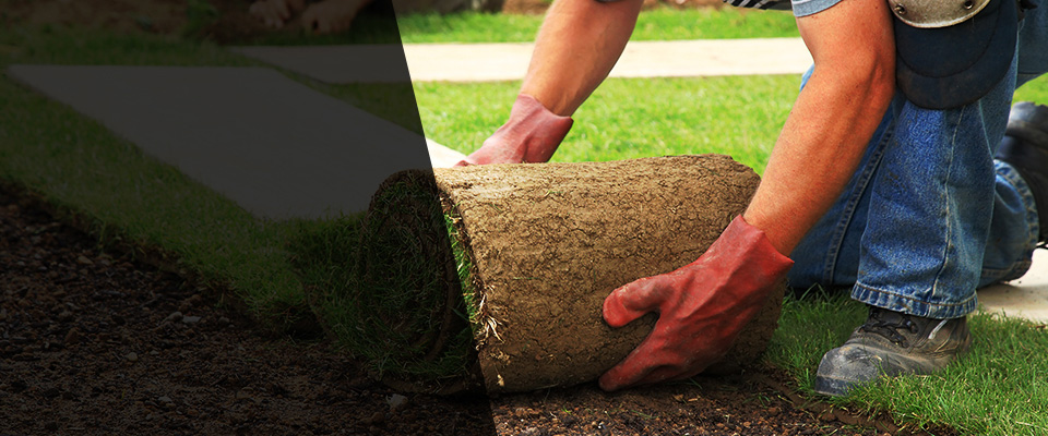 Burtonsville Landscapers
